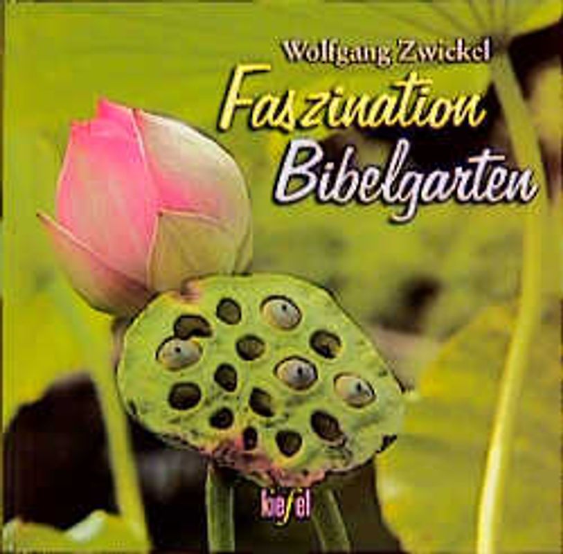 Faszination Bibelgarten
