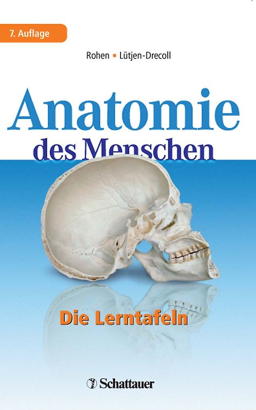 Anatomie des Menschen