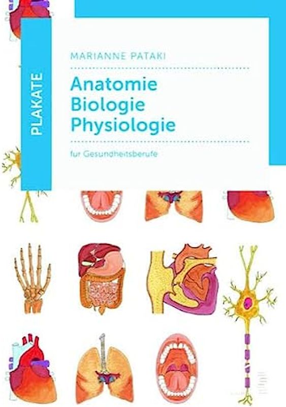 Plakate Anatomie – Biologie – Physiologie
