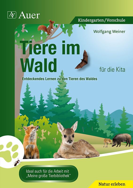 Tiere im Wald für die Kita. Entdeckendes Lernen zu den Tieren des Waldes (Kindergarten)