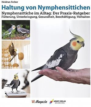 Haltung von Nymphensittichen