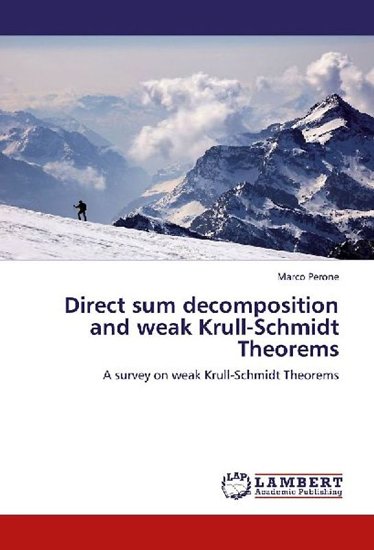 Direct sum decomposition and weak Krull-Schmidt Theorems