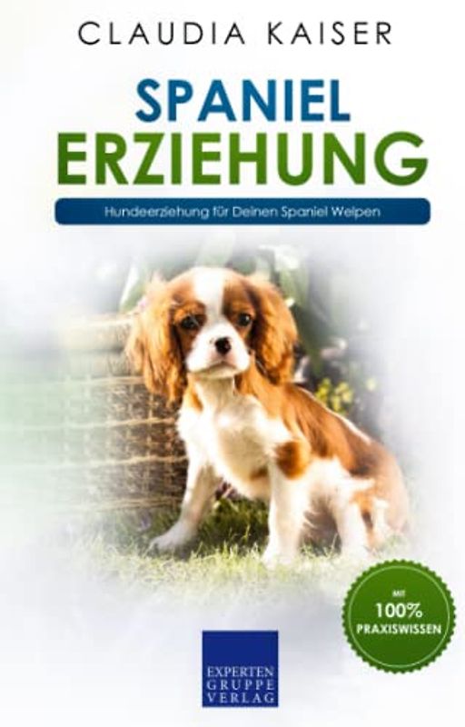 Spaniel Erziehung: Hundeerziehung für Deinen Spaniel Welpen