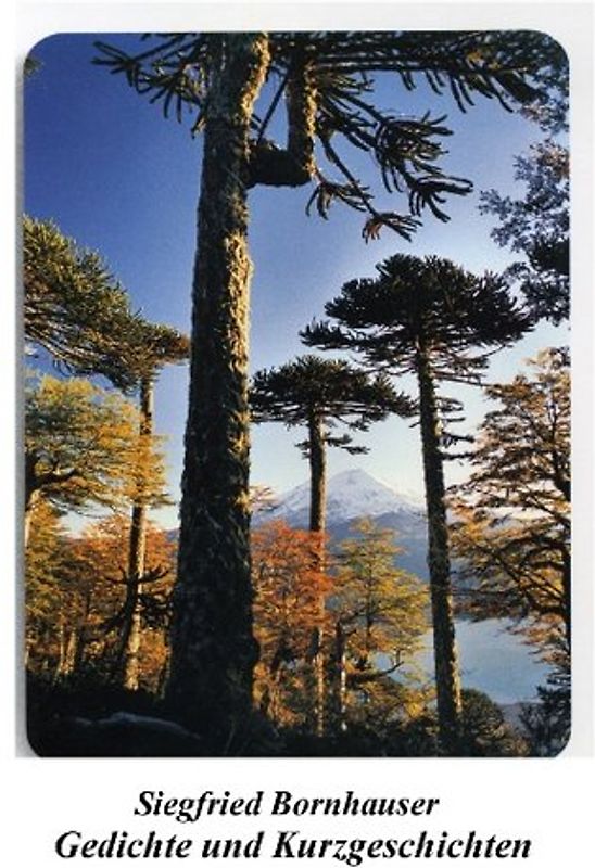 Gedichte und Kurzgeschichten