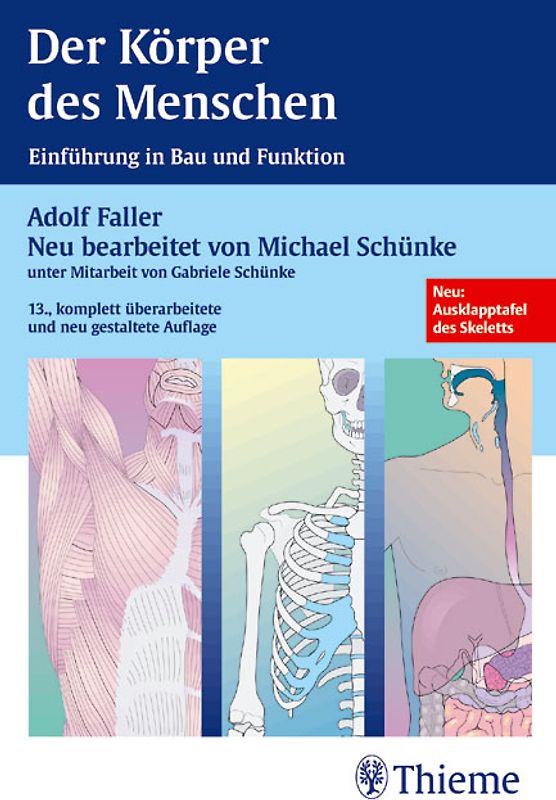 Der Körper des Menschen