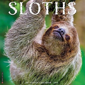 Sloths 2026 12 X 12 Wall Calendar