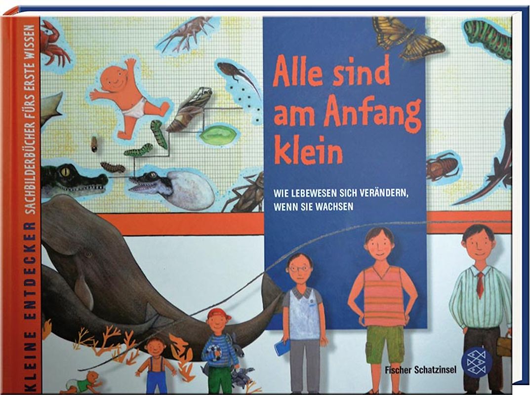 Alle sind am Anfang klein