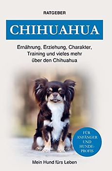 Chihuahua: Erziehung, Charakter, Ernährung, Training und einiges mehr über den Chihuahua