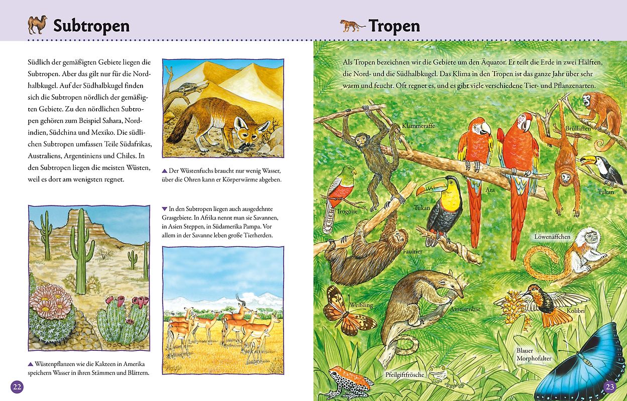 Erde und Weltall für Kinder ab 6 Jahren