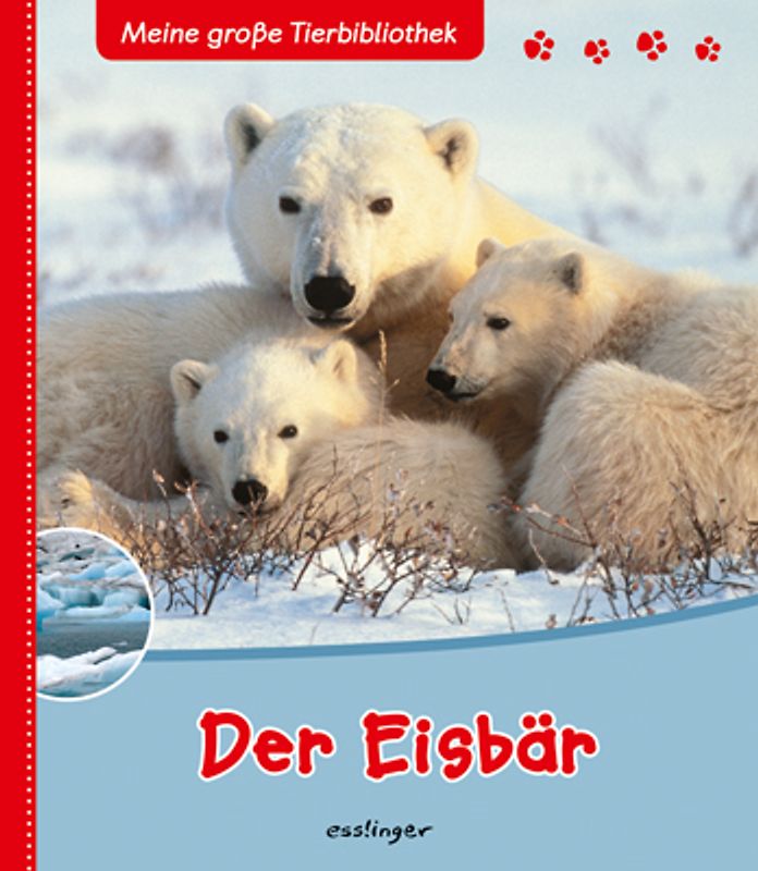 Meine große Tierbibliothek: Der Eisbär