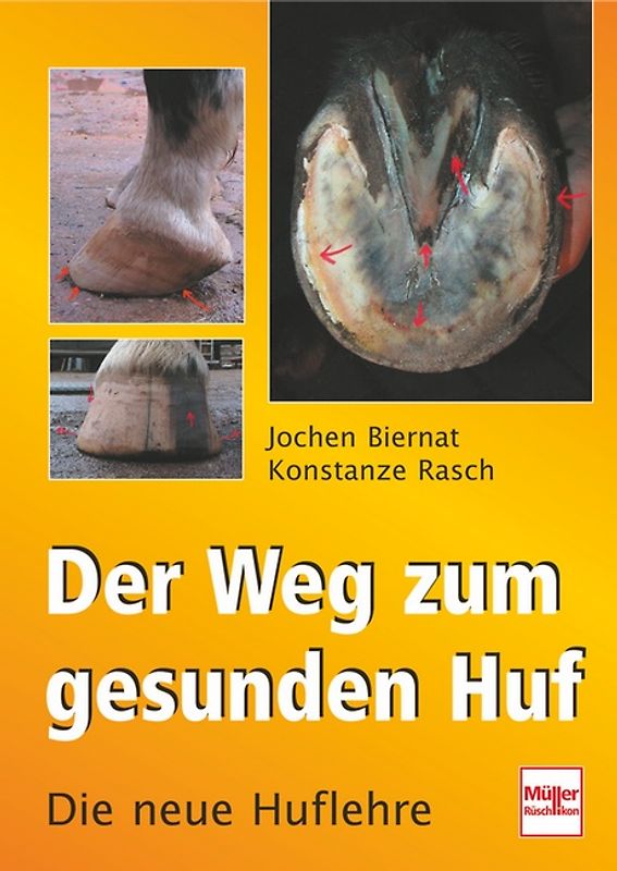 Der Weg zum gesunden Huf