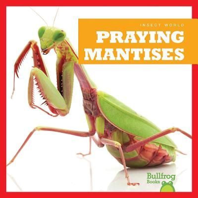 Praying Mantises