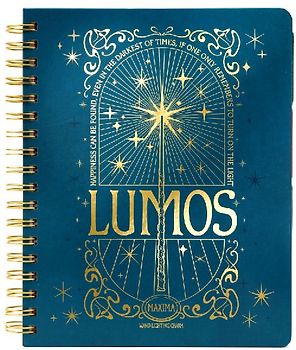 Harry Potter: Spells and Potions 12-Month Undated Planner