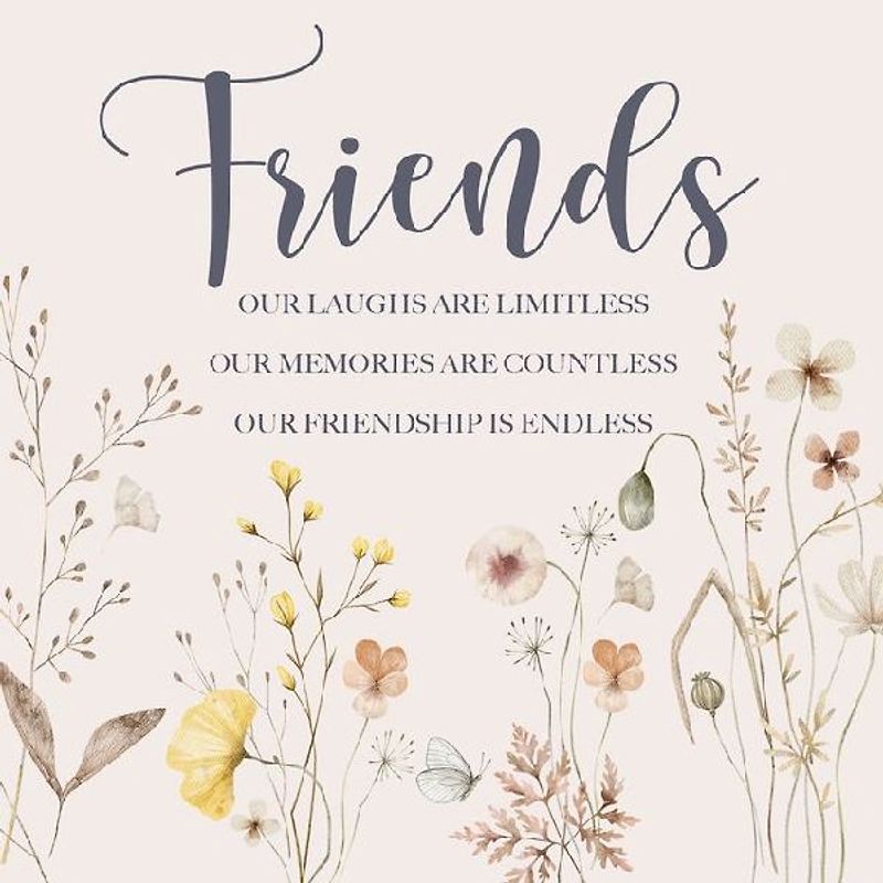 Friends Hardcover Book