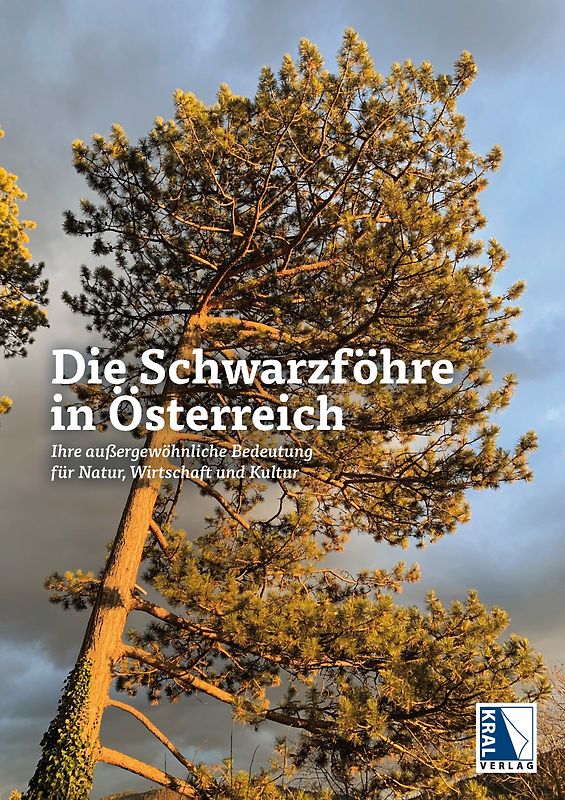 Die Schwarzföhre in Österreich