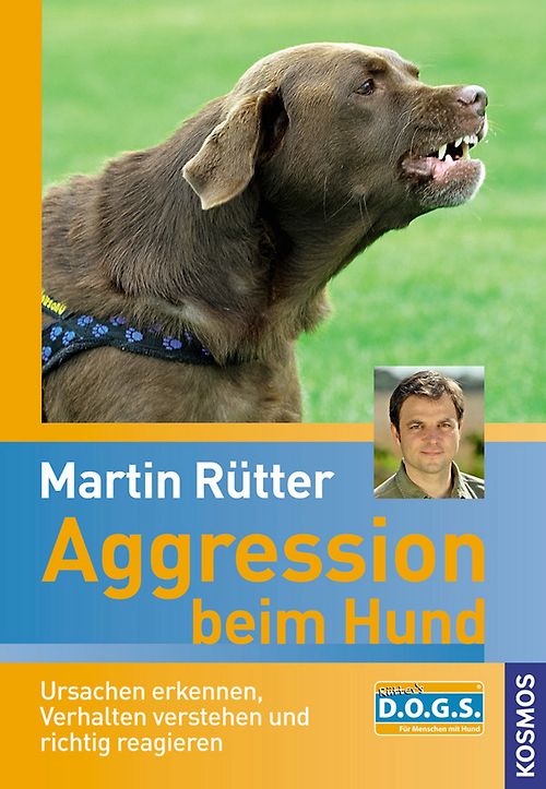 Aggression beim Hund - Bild 1 von 1