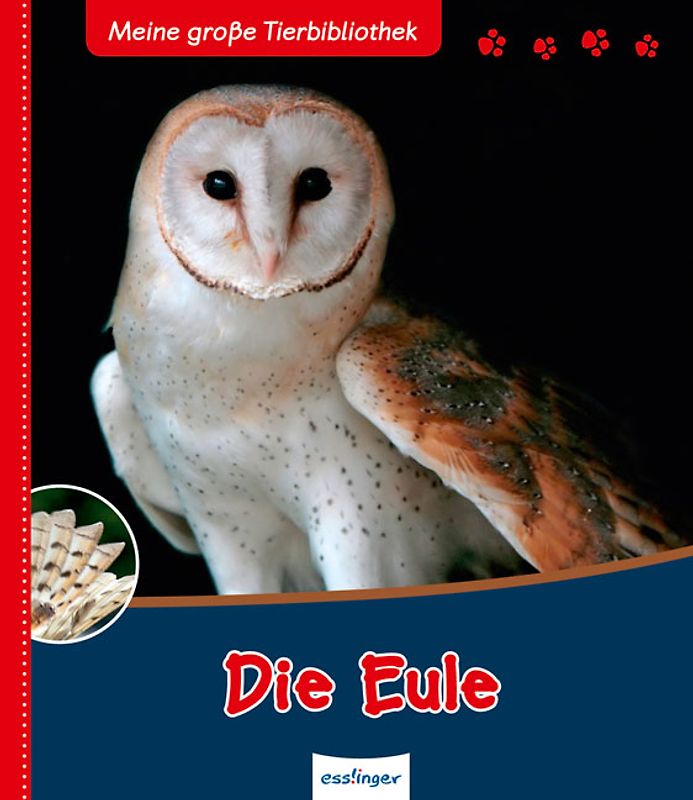 Meine große Tierbibliothek: Die Eule