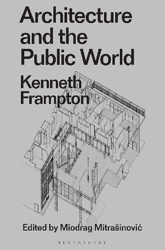 Architecture and the Public World