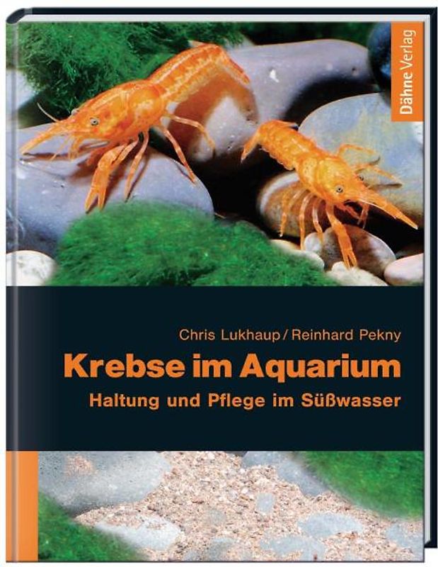 Krebse im Aquarium