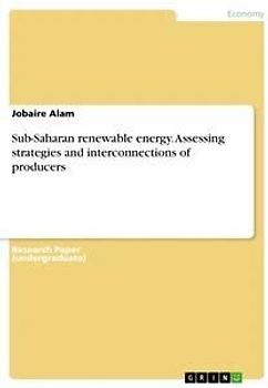 Sub-Saharan renewable energy. Assessing strategies and interconnections of producers