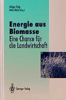 Energie aus Biomasse