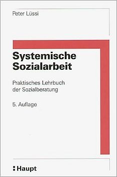 Systemische Sozialarbeit
