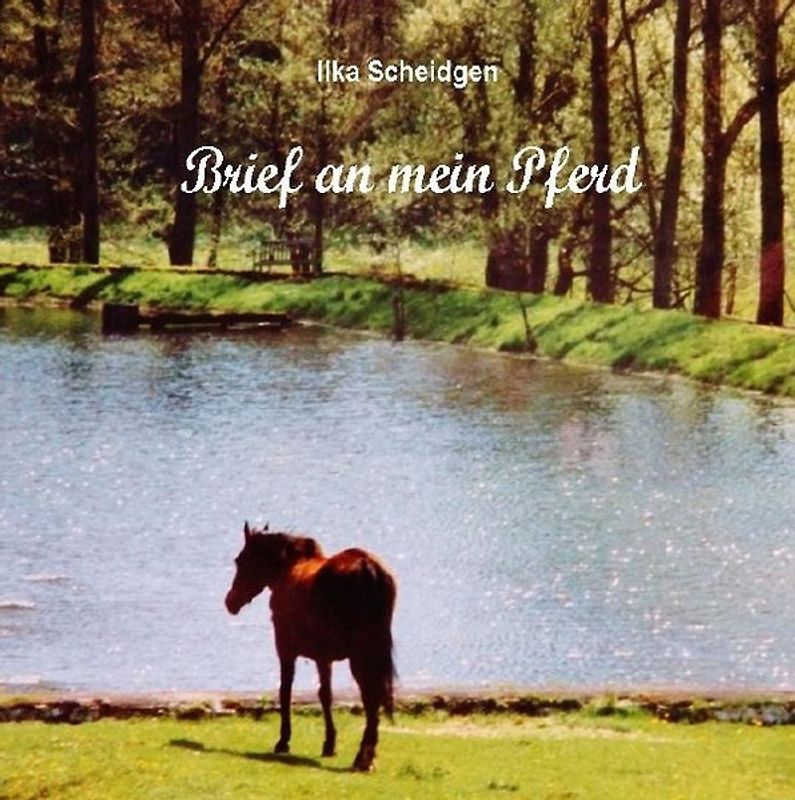 Brief an mein Pferd