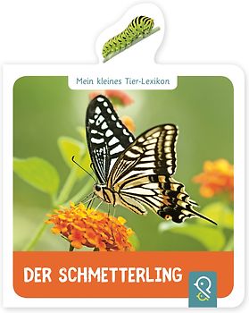 Der Schmetterling