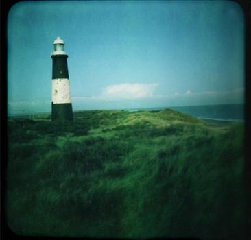 Blue Roses - Blue Roses