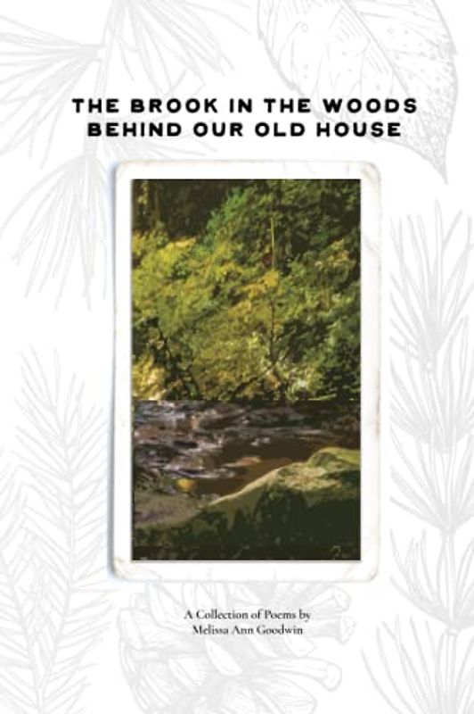 The Brook in the Woods Behind Our Old House: A Collection of Poems