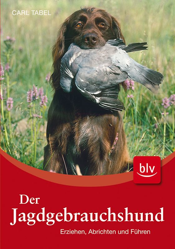 Der Jagdgebrauchshund