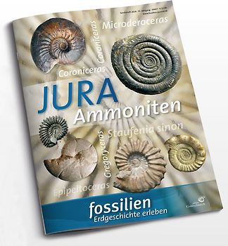 Fossilien Sonderheft "Jura-Ammoniten"