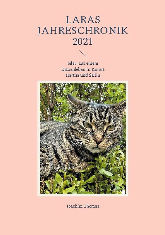 Laras Jahreschronik 2021
