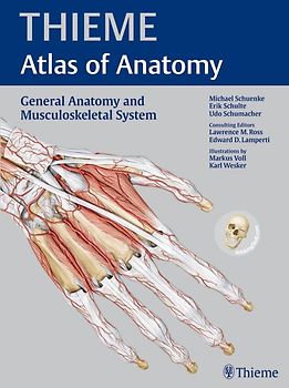 General Anatomy and Musculoskeletal System. THIEME Atlas of Anatomy