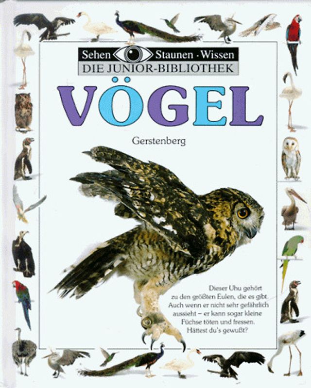 Vögel