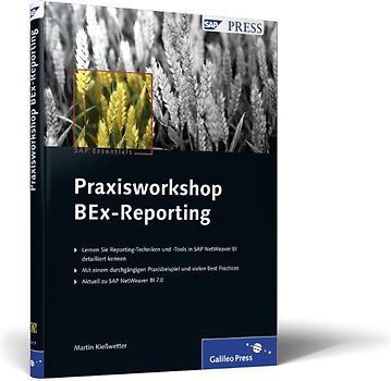 Praxisworkshop BEx-Reporting
