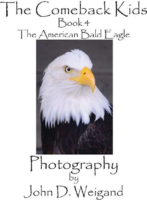 The Comeback Kids, Book 4, The American Bald Eagle