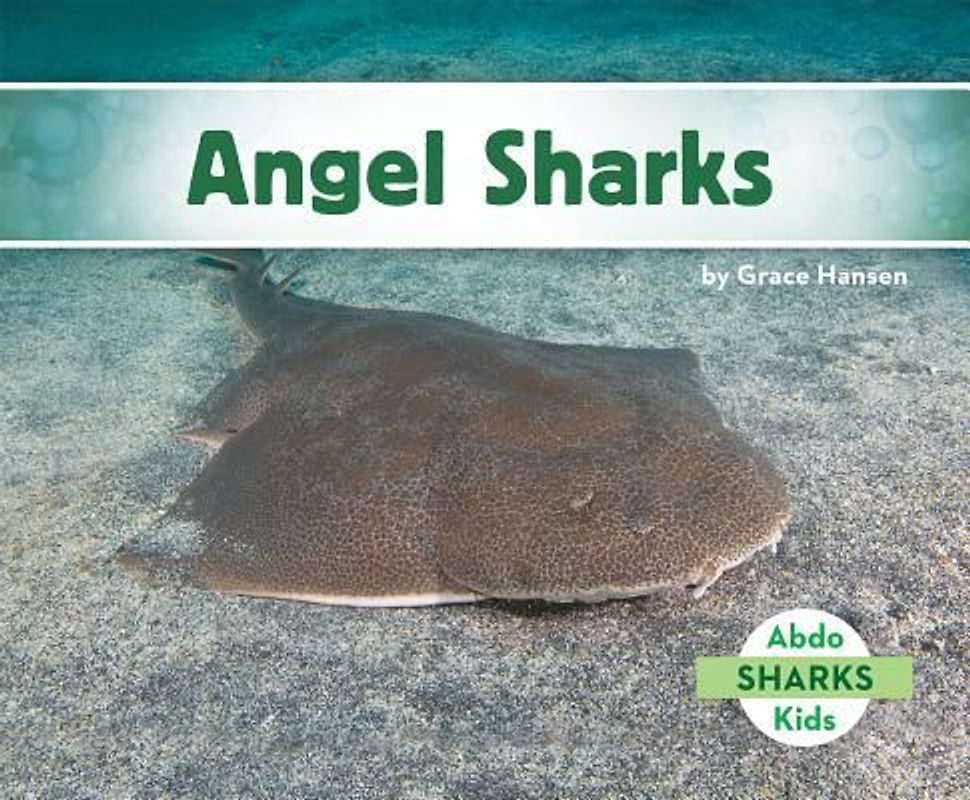 Angel Sharks