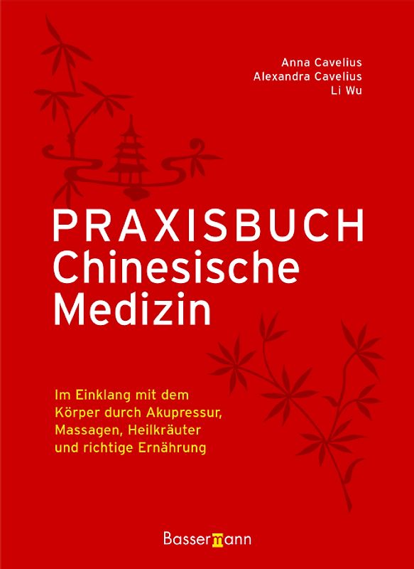 Praxisbuch Chinesische Medizin