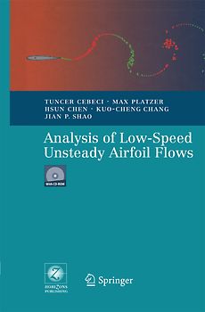 Analysis of Low-Speed Unsteady Airfoil Flows