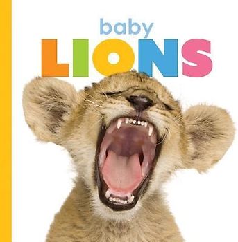 Baby Lions