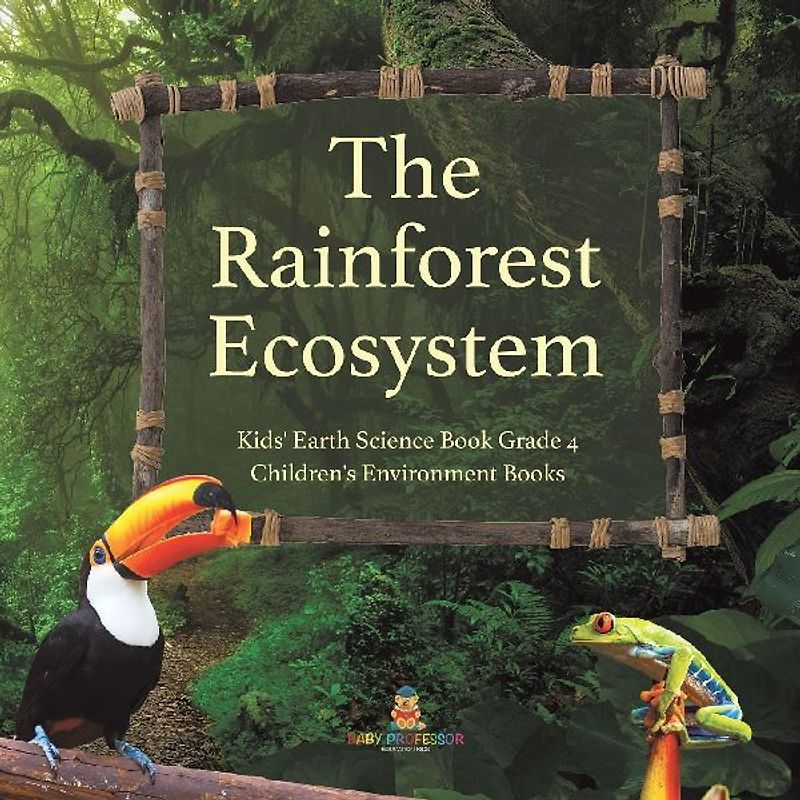 The Rainforest Ecosystem | Kids' Earth Science Book Grade 4 | Children's Environment Books