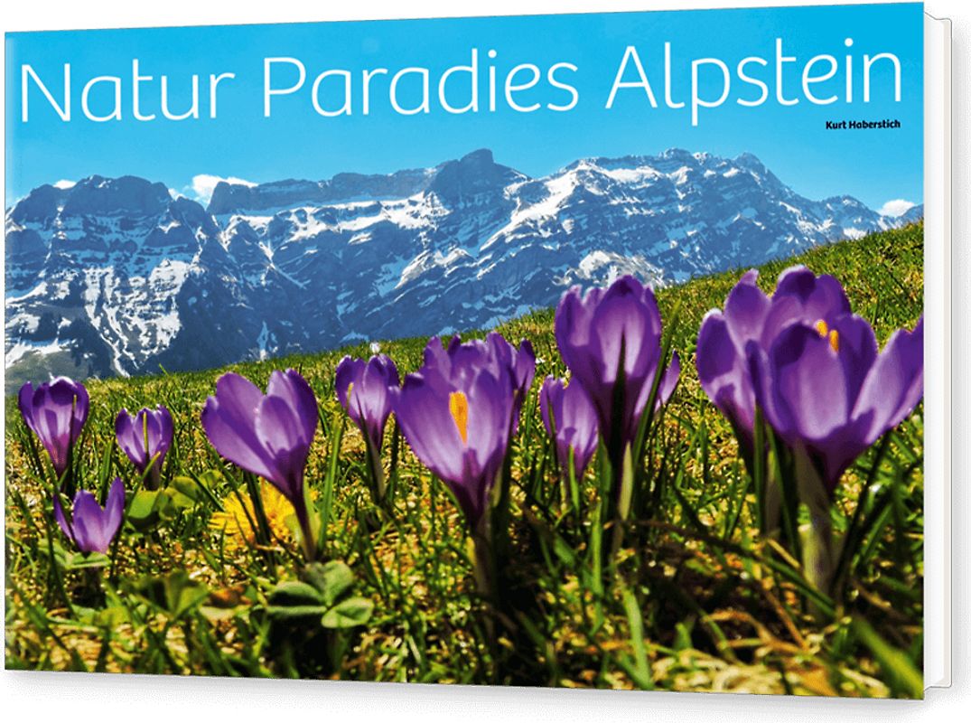 Natur Paradies Alpstein