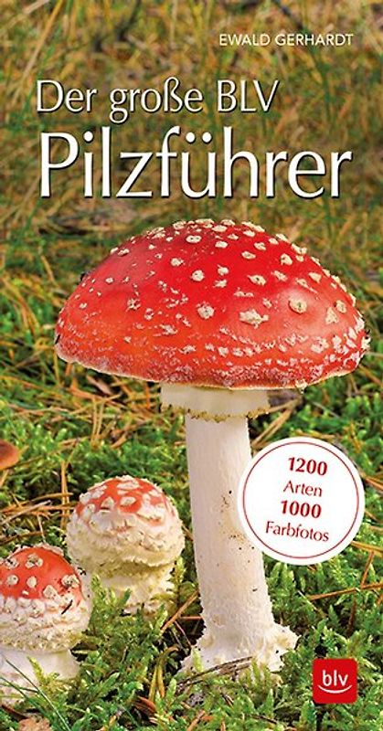 Der große BLV Pilzführer für unterwegs
