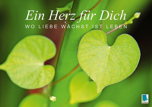 Ein Herz für Dich: Wo Liebe wächst ist Leben (Posterbuch DIN A3 quer)