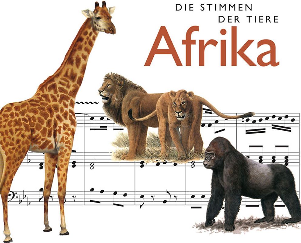 Die Stimmen der Tiere: Afrika