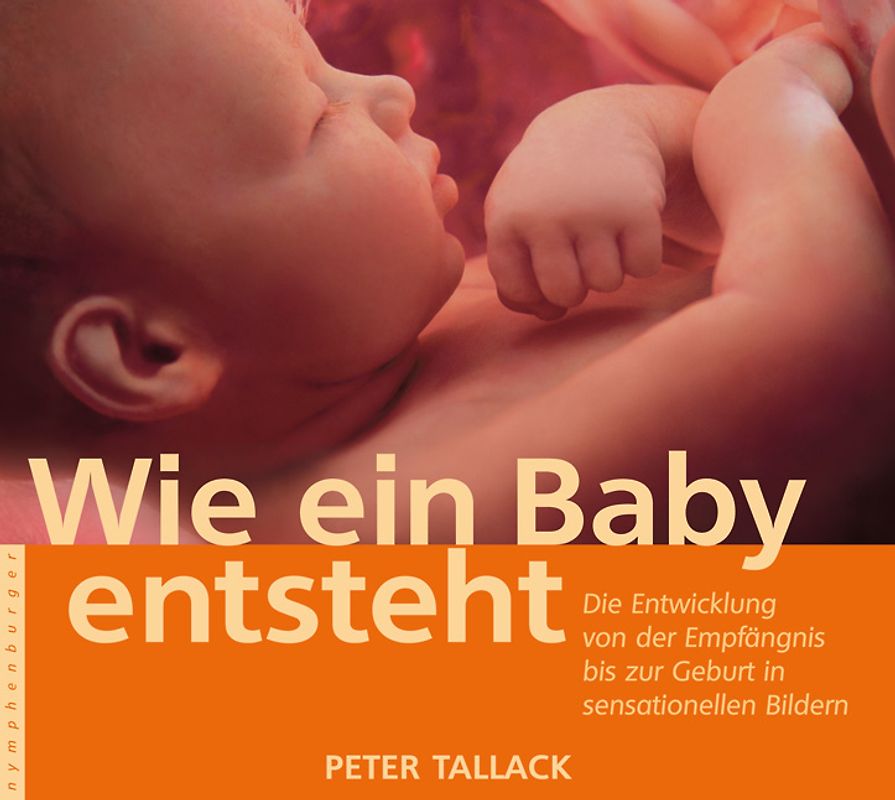 Wie ein Baby entsteht
