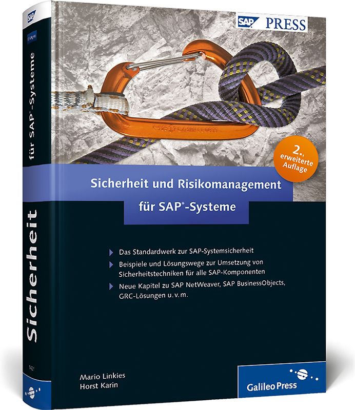 Sicherheit und Risikomanagement für SAP-Systeme