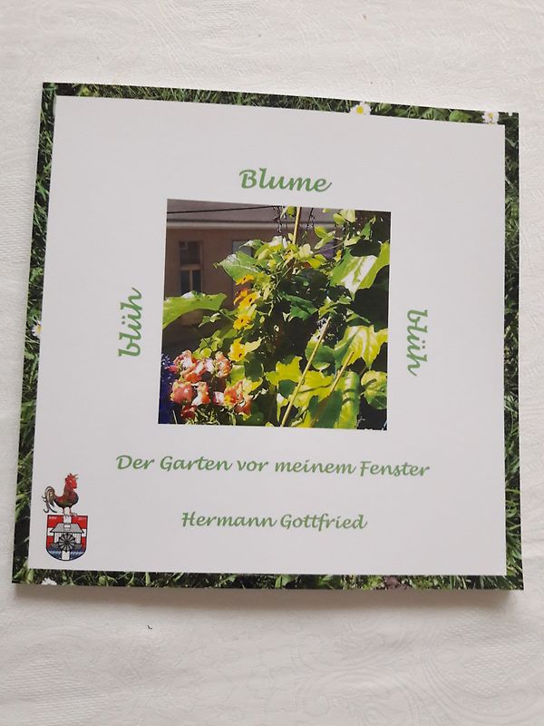 Der Garten vor meinem Fenster