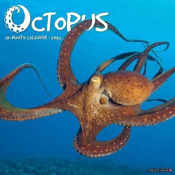 Octopus 12 X 12 Wall Calendar
